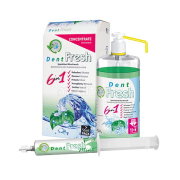 DENT FRESH Mint - Starter Pack