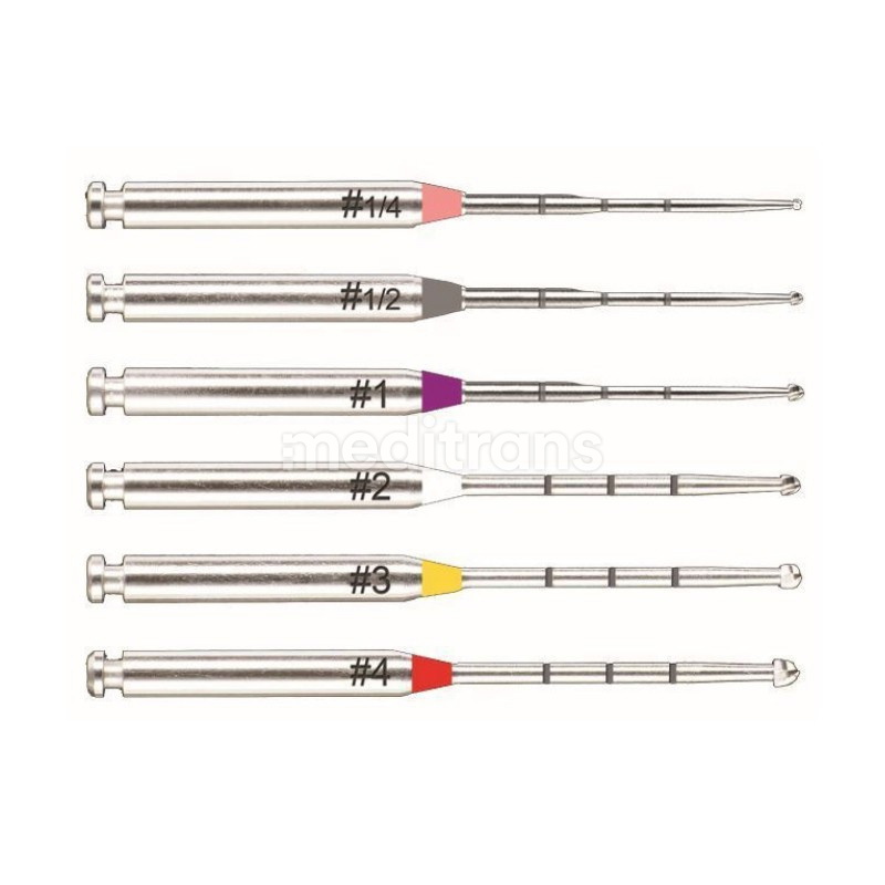 MUNCE DISCOVERY Burs