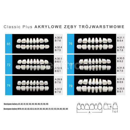 Zęby Formed Classic Plus Przody dolne