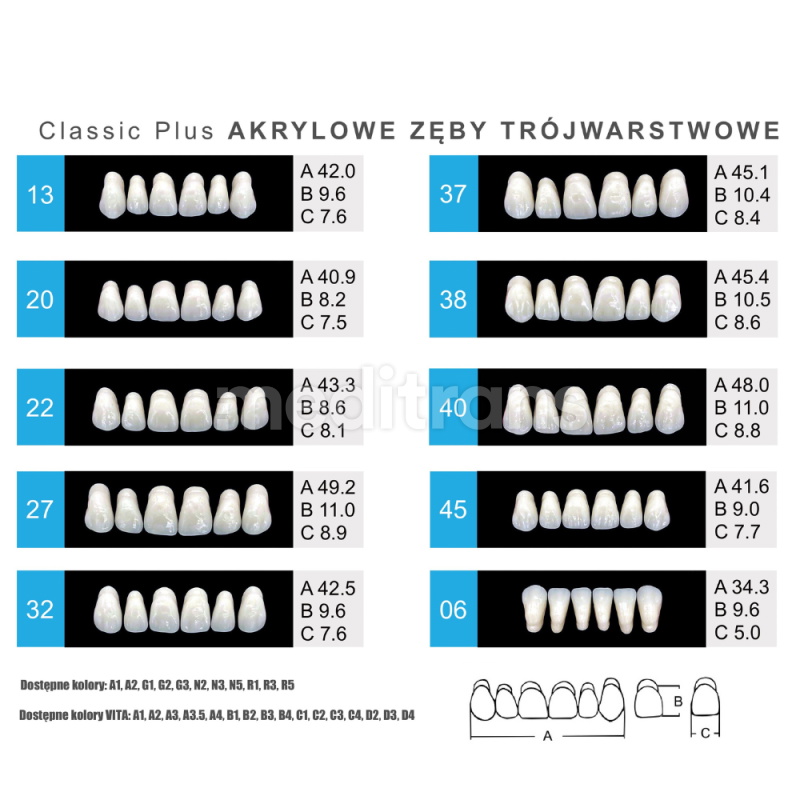 Zęby Formed Classic Plus Przody górne