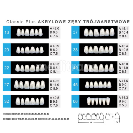 Zęby Formed Classic Plus Przody górne
