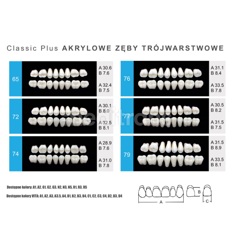 Zęby Formed Classic Plus Przody górne